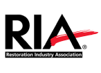 RIA Icon